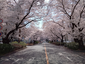 3��30����������