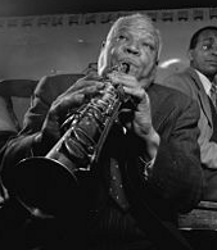 �V�h�j�[�E�x�V�G