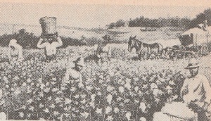 �ȉԂ�E�ލ��l�z��